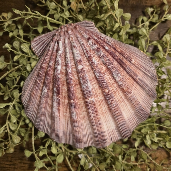 Big Decorative Blue and Gold Trinket Dish - Picture 2 of 2